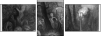42039164