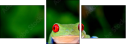 42467641