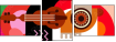 42532956