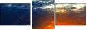 42751455