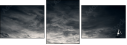 42940854