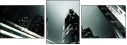 43613625