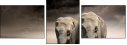 43670148