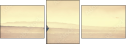 43690835