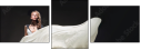 43882892