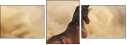 43906966