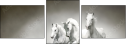 44040199