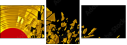 44107943