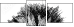 44646006