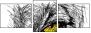 44652555