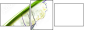 44679167