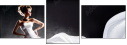 44818291