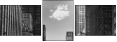 44846834