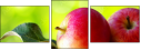 44945564
