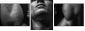 45026445