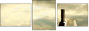45470449