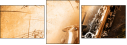 45515921