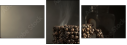 45539882