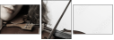 45563046