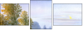 45640088