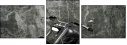 45686812