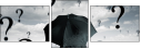 45925119