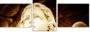 46116089