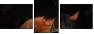 46187059