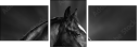 46196337