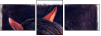 46243808