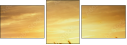 46459823
