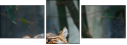 46669646