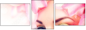 46892780