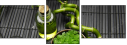 46925109