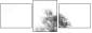 47020348