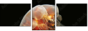 47043429