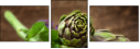 47068124