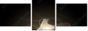 47091704