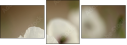 47729615