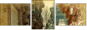 47848489