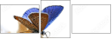 48135566