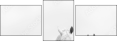 48172721
