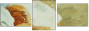 48308195