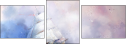 48848531