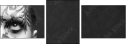 4886066