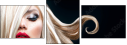 48880493