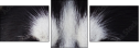 48885993