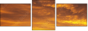 48905885