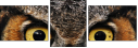 48966303