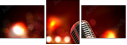 49026303